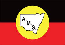 A.M.S Logo